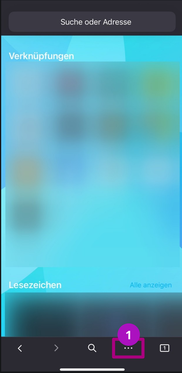 Suchmaschine Startpage als Standart festlegen iPhone Schritt 1