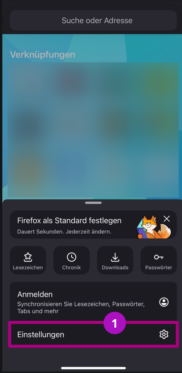 Suchmaschine Startpage als Standart festlegen iPhone Schritt 2